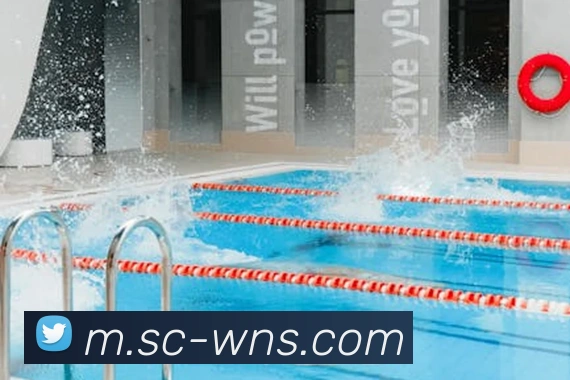 威尼斯人官网平台生态图